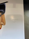 'Profile in Blue' print by mvskoke artist Gary Colbert (Damaged)
