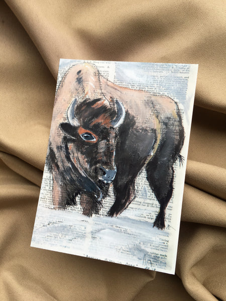 Bison Postcards w/ envelopes