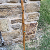 Bodark Urethane Walking Stick